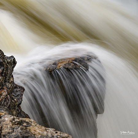 _DSC6013-2