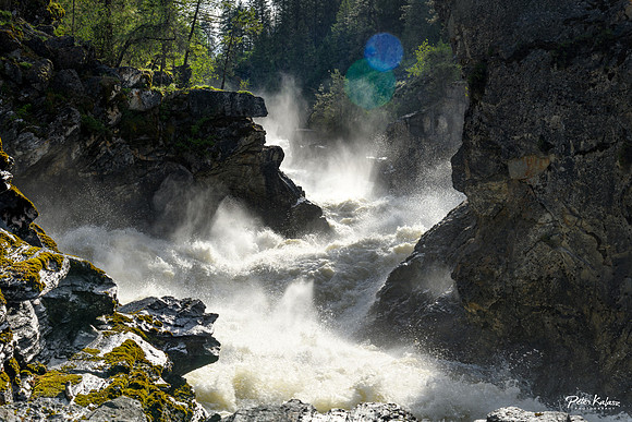 _DSC6091