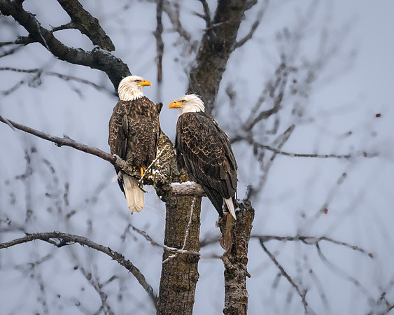20231201-_DSC4804-Edit