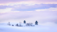 untitled-7886