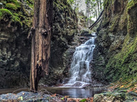 DSCF8986_7_8
