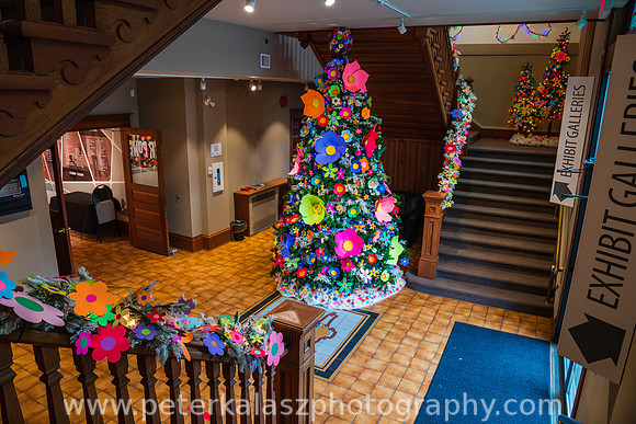 _DSC5546 - 191122