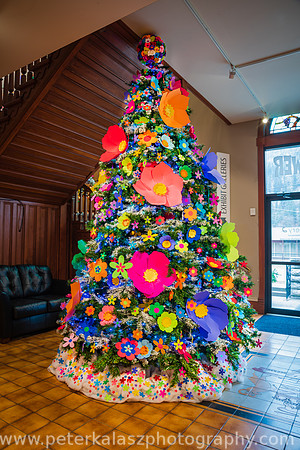 _DSC5551 - 191122-Edit