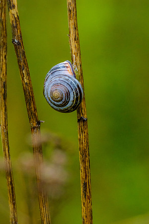 _DSC5947-Edit
