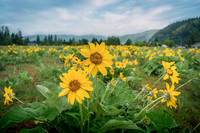 20230506-_DSC7779-Edit
