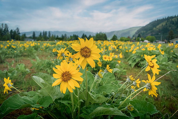 20230506-_DSC7779-Edit