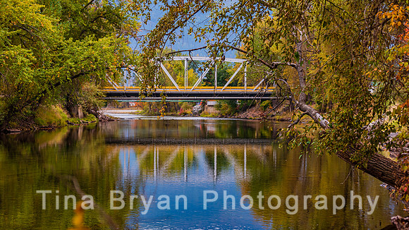 _DSC1125