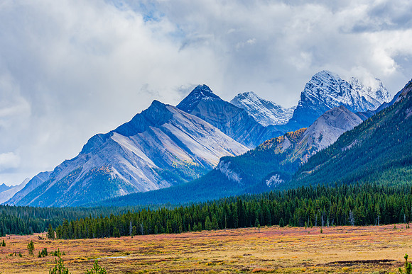 _DSC7675