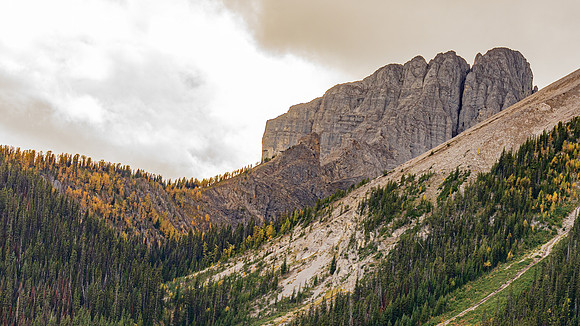 _DSC7680