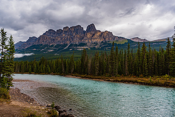 _DSC8481