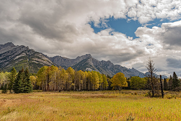 _DSC8496