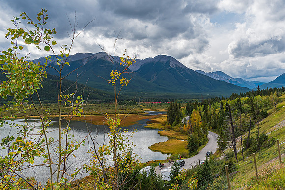 _DSC8531