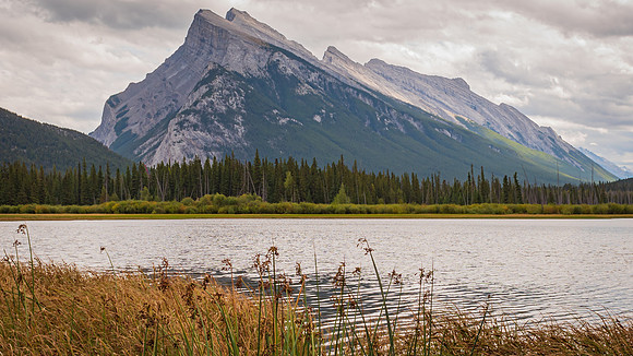 _DSC8547