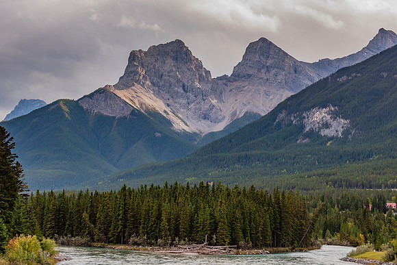 _DSC8555