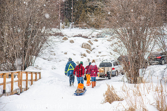 _DSC5335 - 200215