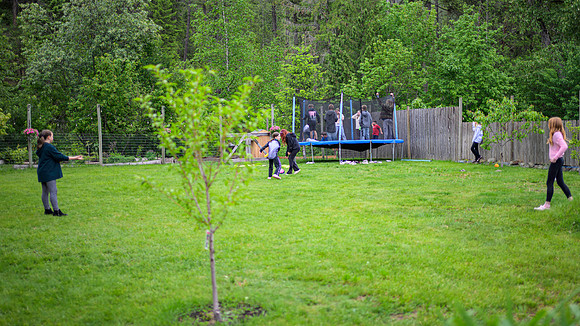 250518 _Z8D8438