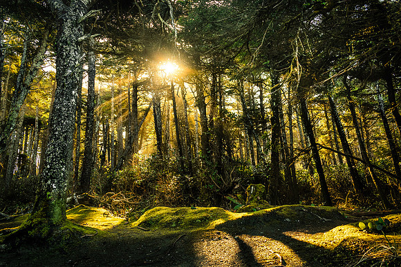 _DSC1926-Edit