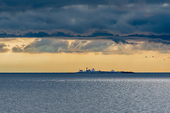 _DSC1697