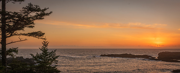 _DSC1978