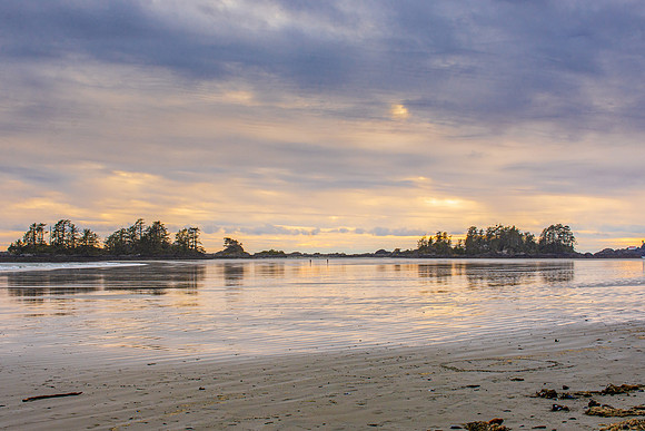 _DSC9374