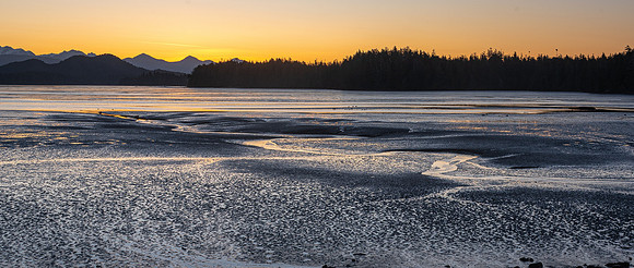 _DSC2033