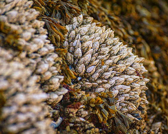 _DSC0700-Edit