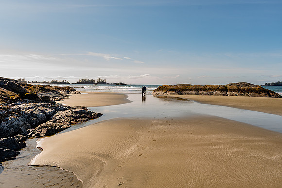 _DSC2081