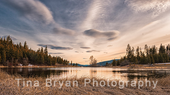 _DSC3524-Edit