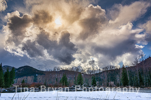 _DSC1354-Edit