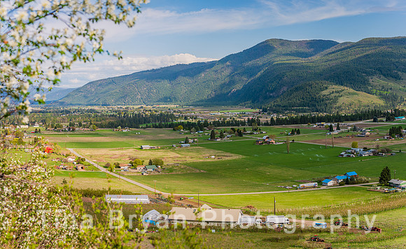 _DSC5133-Pano