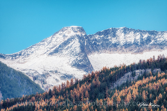 _DSC3305-Edit-2