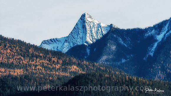 _DSC3307-Edit-2