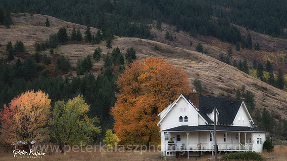 _DSC3825-Edit