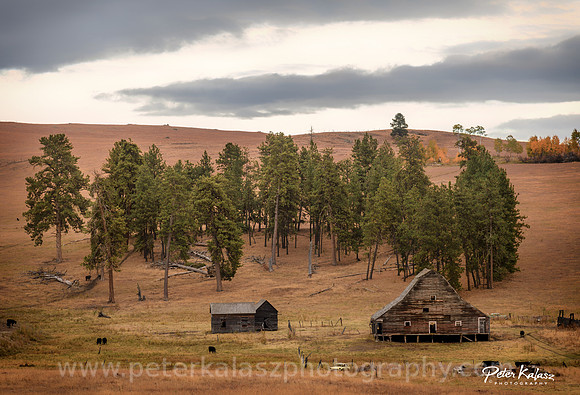 _DSC4021-Edit