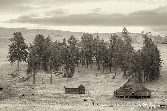_DSC4035-Edit