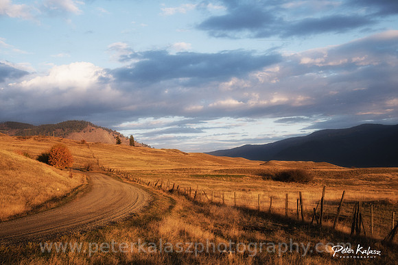 _DSC5289-Edit