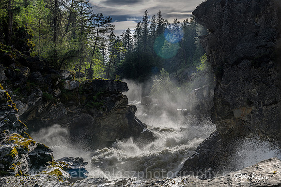 _DSC6083