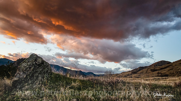 _DSC7517-Edit