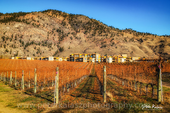 _DSC8604-Edit