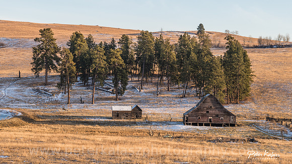 _DSC8632