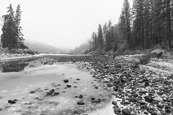 _DSC9118