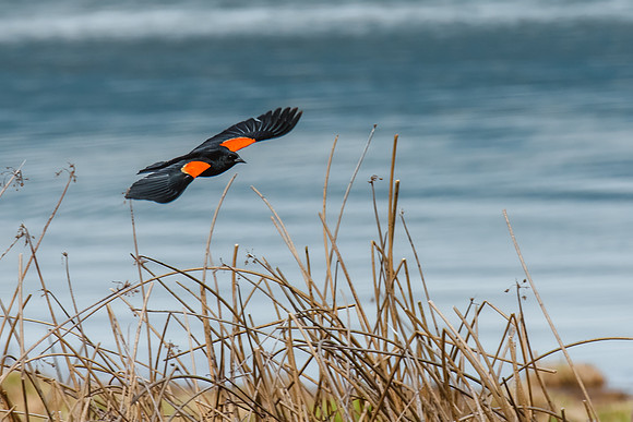_DSC6577-Edit