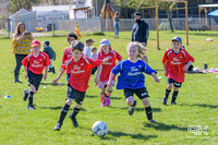 2024-04-14 Soccer / Open