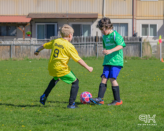 240414 _Z8D2337