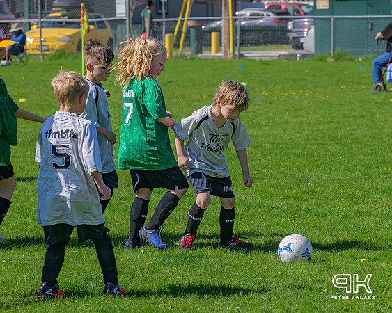 240414 _Z8D2521