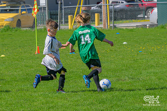 240414 _Z8D2533