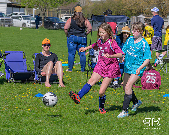 240414 _Z8D2581