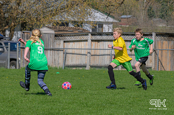 240414 _Z8D2639