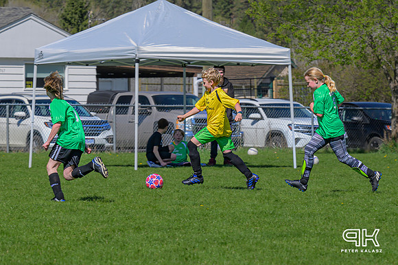 240414 _Z8D2642