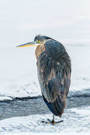 _DSC9537-Edit - 20220105